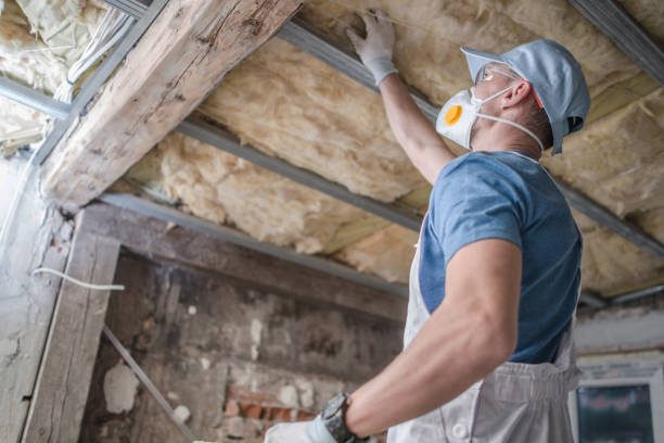 Best Cellulose Insulation in USA